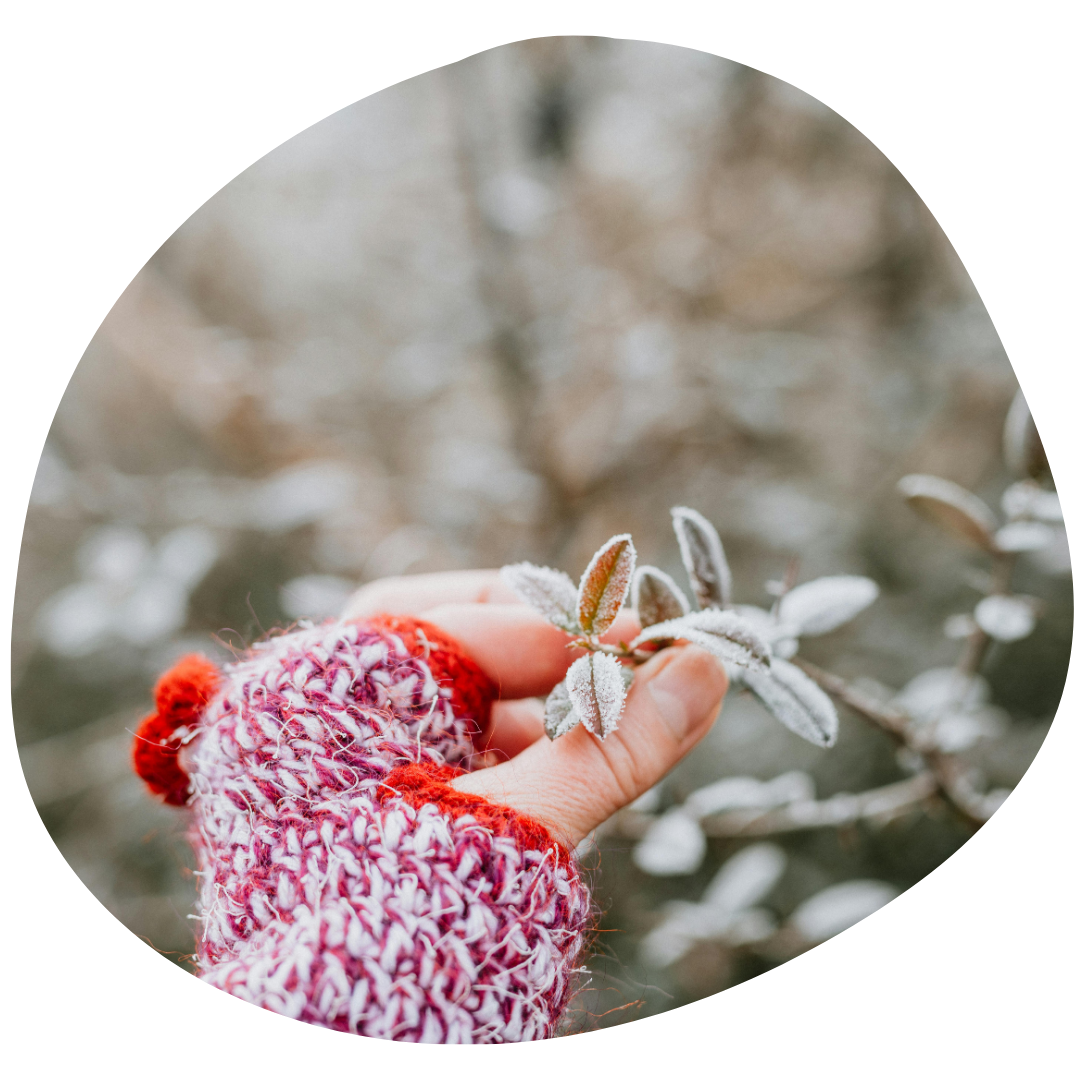 Familjehem socialtjänsten praktiva